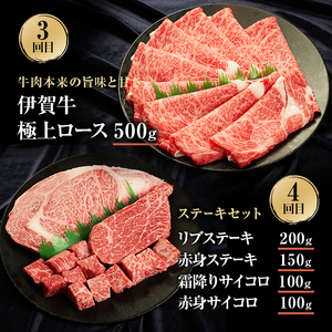 伊賀牛 定期便 6ヶ月 切り落とし ユッケ タン 伊賀牛
