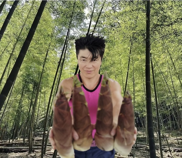 0010-69-06 タケノコ王の青果ハチク及びマダケ 約3kg 風岡たけのこ園 【5月以降順次発送予定】