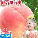 【ふるさと納税】 桃 和歌山県産 紀の里の桃 約4kg (10〜15玉入り)《2025年6月中旬-8月中旬頃出荷》 2025年 先行予約 紀の里の桃 送料無料 白鳳 日川白鳳 なつっこ 清水白桃 川中島白桃 ギフト 果物 くだもの フルーツ 和歌山 わかやま もも momo 10000円以下 一万円以下