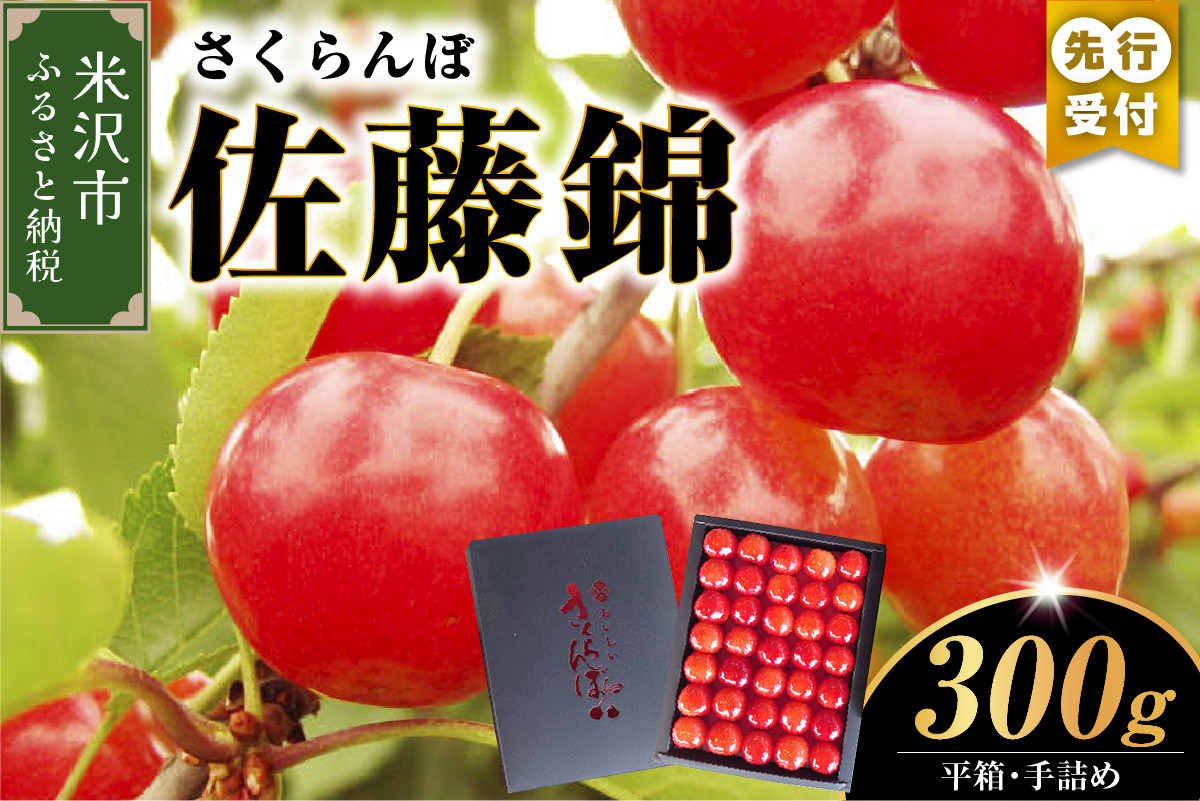 
            《 先行予約 》 【 令和7年産 】 さくらんぼ 佐藤錦 300g 平箱 手詰め ( 秀 L 以上 ) 〔 6月中旬 ～ 下旬頃 お届け 〕 2025年産 農家直送 産地直送
          