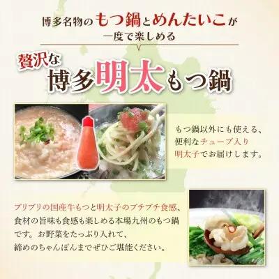 Y69-05 おどろきっちん 博多明太もつ鍋セット(九州醤油仕立て)  2～3人前 もつ鍋