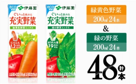 伊藤園　緑黄色野菜＆緑の野菜（紙パック）48本 【伊藤園 飲料類 野菜ジュース ミックス 緑の野菜 ジュース 野菜ジュース セット 詰め合わせ 飲みもの ジュース】