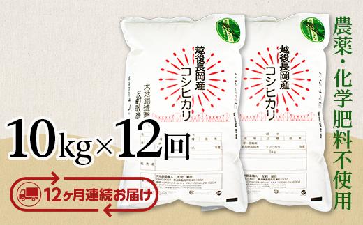 
            E1-S10ZB【12ヶ月連続お届け】新潟県長岡産コシヒカリ10kg
          