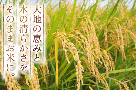 令和7年産 慣行栽培 はえぬき 5kg [田制農園 山形県 高畠町 tk06ayt230006]