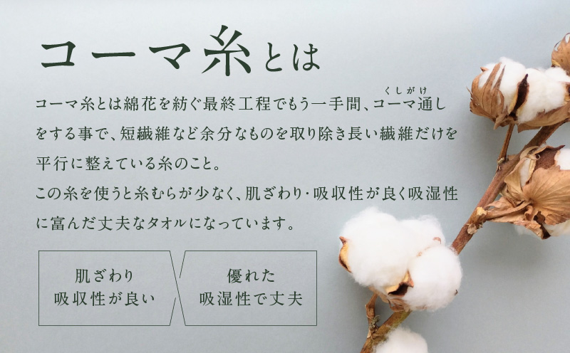 コーマカラーフェイスタオル12枚セット（オプライングリーン）泉州タオル【泉州タオル 国産 吸水 普段使い 無地 シンプル 日用品 家族 ファミリー】 020C448