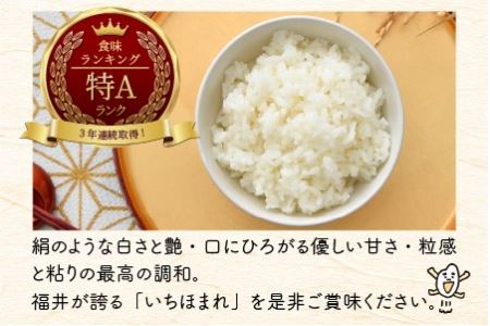 【令和5年産】定期便 ≪3ヶ月連続お届け≫ 福井県のブランド米 いちほまれ 無洗米 2kg × 3回 計6kg 【 無洗米 人気 品種 ブランド米 特A 】 [A-6151]