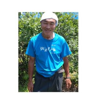 信州　中野市産特選ブルーベリー　バラ詰め 2kg箱【配送不可地域：離島】【1494239】