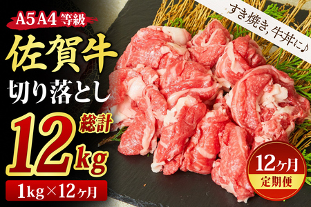 【12回定期便】佐賀牛 切り落とし 1000g(500gx2)【すき焼き用牛肉 すき焼き用 すき焼き 牛丼 A5 A4 希少 国産和牛 牛肉 肉 牛】 (H085196)