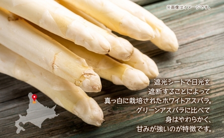 【2025年発送】ホワイトアスパラ 2kg (2L～3L)［優品］北海道 美深町産 アスパラガス 野菜　 北海道野菜 旬の野菜 甘い みずみずしい 　お届け：2025年4月中旬～2025年6月上旬