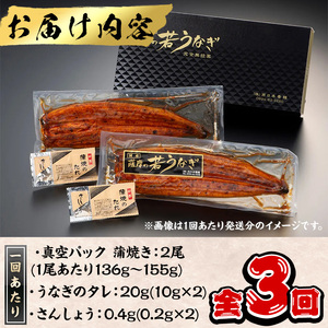 ＜定期便・全3回＞鹿児島県産うなぎ蒲焼 (1尾あたり136g～155g×2尾×3回、タレ・山椒付き) 鰻 ウナギ 国産 【西日本養鰻】 T46