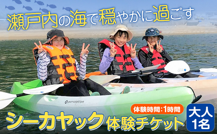 
            シーカヤックチケット 大人1名 体験時間 1時間 NPO法人あさくちスポーツクラブ遊ぶところ《90日以内に出荷予定(土日祝除く)》岡山県 浅口市 シーカヤック カヤック 体験 大人 チケット 海
          