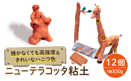 焼かなくても丈夫！ ニューテラコッタ粘土 12点  多治見市 / 美濃粘土[TBD012]