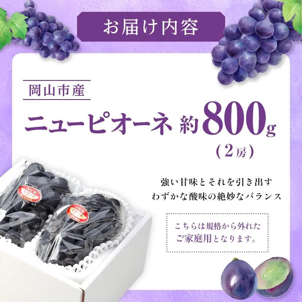ご家庭用 ニュー ピオーネ 約400g×2房 岡山県産｜  ピオーネ