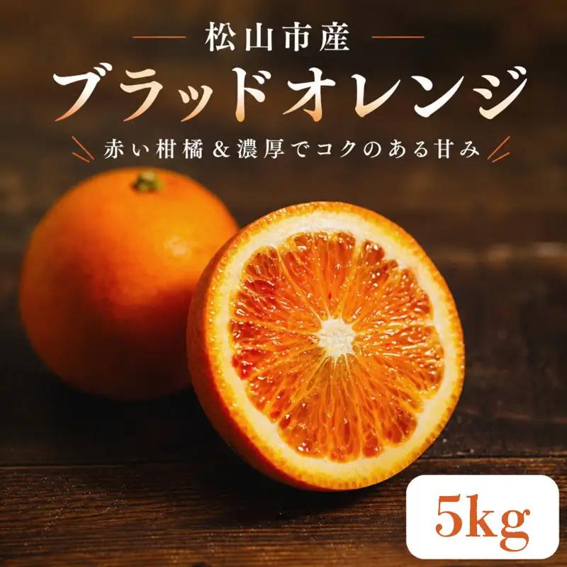 【2027年3月中旬頃から順次発送】  ブラッドオレンジ 5kg ｜愛媛 タロッコ 果物 ビタミン 健康 フルーツ 柑橘 農家直送 産地直送 数量限定  松山  くだもの 果実 有名 みかん 愛媛県産 瀬戸内 デザート スイーツ おすすめ 国産 青果 酸味 果汁 果肉 蜜柑 ミカン あかい 松山市産みかん 甘い 美味しい お取り寄せ グルメ ギフト 期間 ご当地 愛媛県 松山市 【HMN024】