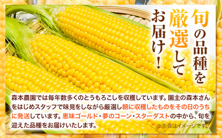 [1.3-77]　【令和6年発送先行受付】森本農園とうもろこし20本セット