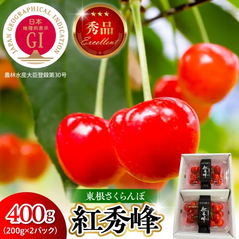 2027年産 GI東根 さくらんぼ 紅秀峰 400g さくらんぼ