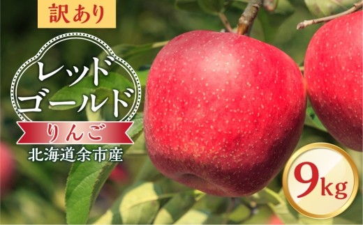 
                  【先行予約：2026年10月中旬より発送】訳アリ りんご（レッドゴールド）9kg【北海道余市町産】
                