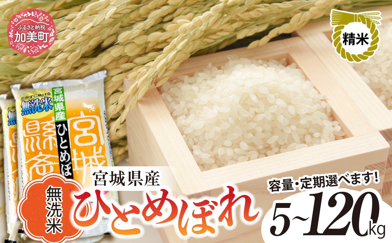 
            【新米予約】 無洗米 ひとめぼれ 5kg / 10kg 米 定期便 2回〜12回まで選べる！(回数 2回 3回 4回 5回 6回 7回 8回 9回 10回 11回 12回 ) 菅原精米工業 宮城県 加美町 ｜ 3ヶ月 6ヶ月 12ヶ月 米 ごはん お米 ご飯 コメ 宮城県 精米 ヒトメボレ むせんまい 人気 ふるさと納税 返礼品
          