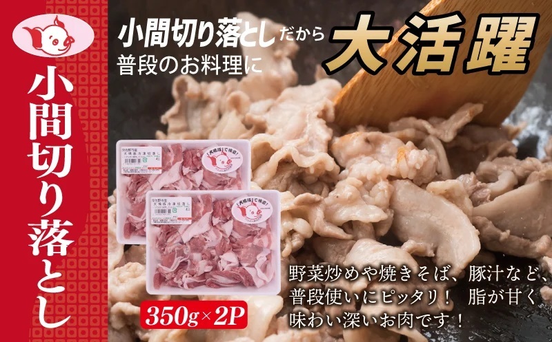 【泉佐野ブランド豚】犬鳴ポーク 3種 食べ比べセット（切り落とし／うで／ロース）×6回 定期便 6か月【毎月配送コース 国産 豚肉 工場直送 ぶた 小分け 簡単調理 期間限定 数量限定】 G1416_