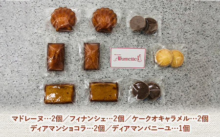 人気のパティスリーの焼き菓子セット5種9品 スイーツ 甘い おやつ 食品 F21C-478