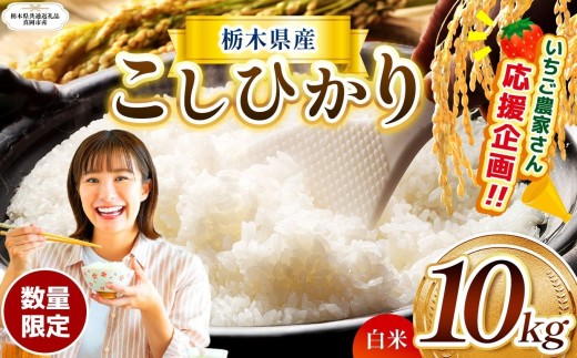 【栃木県共通返礼品】【先行予約】数量 限定  訳あり 定期便 令和8年度 栃木県産 コシヒカリ 約 10kg | 数量限定 こしひかり  精米 白米 米 ごはん おいしい  密閉パック ふるさと納税 那珂川町 栃木県