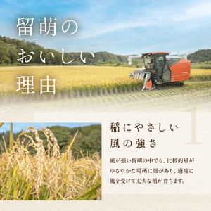 北海道南るもい産【ななつぼし】(無洗米)5kg×2袋 R011-010