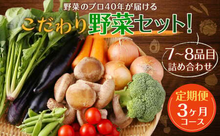 【定期便 3ヶ月コース】 野菜のプロ40年が届けるこだわり野菜セット！ 7～8品目 詰め合わせ 【2026年1月上旬より発送開始】