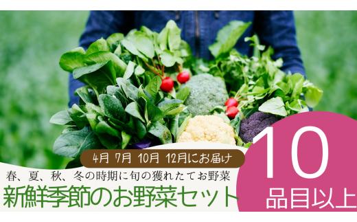 040-002 新鮮季節のお野菜セット年4回（江戸川極み野菜）