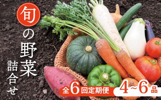 【定期便6回】野菜セット 4~6種  定期便 レギュラーコース お野菜の定期便 野菜定期便 野菜セット 野菜詰め合わせ 京野菜 野菜 やさい 冷蔵 セット 季節 旬 自然 詰合せ おまかせ 6ヶ月 6か月 6カ月 鍋 鍋セット 希少 新鮮 春野菜 夏野菜 秋野菜 冬野菜 人気 ランキング お取り寄せ ふるさと納税 京都 京都府