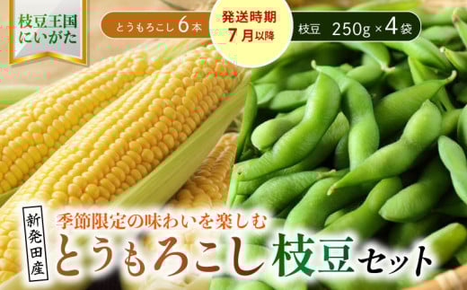 夏の味覚の最強コンビ！枝豆＆とうもろこしセット【 新潟県 新発田産 枝豆 とうもろこし セット 先行予約 数量限定 seida027 】