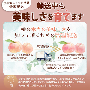 先行予約【透過式光センサー選別】 伊達市産桃 さちあかね特秀 約3kg （9～11玉） F20C-352