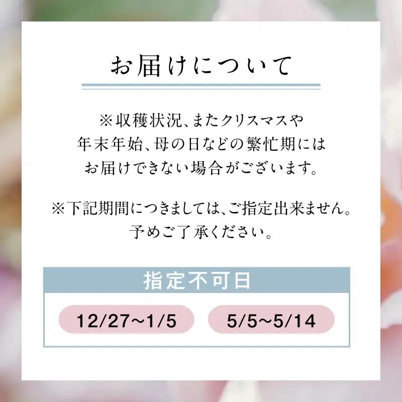 わばらの花束 30本定期便 １０回分 Rose Farm KEIJI  WABARA  記念日  國枝啓司  AT-0023