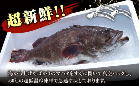 【対馬産】高級魚 マハタ 鍋セット 500ｇ（2?3人前）《対馬市》【石川水産】 分厚い 冷凍 新鮮 肉厚 ハタ マス アラ 海鮮鍋[WAB013] コダワリ鍋 こだわり鍋 おすすめ鍋 おススメ鍋 人