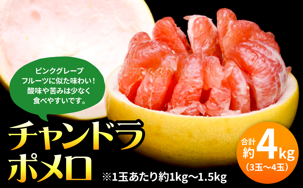 【先行予約】 チャンドラポメロ 約4kg （3玉～4玉） 【2025年10月下旬より順次発送】