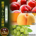 【ふるさと納税】 《先行予約》山形県中山町 厳選フルーツ定期便 夏秋 全3回 【2025年8月開始】 白桃 黄金桃 シャインマスカット 葡萄 ぶどう ブドウ 桃 もも モモ 山形県産 フルーツ 果物 くだもの 連続 F4A-0365