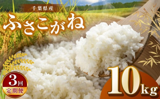 【令和7年産】【3回定期便】君津市産ふさこがね（精米）10kg | JA さだもと 米 こめ お米 おこめ 白米 精米  千葉県 君津市 きみつ