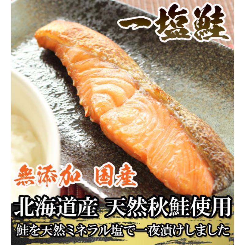 【ふるさと納税】一塩鮭 （薄塩）　鮭 さけ サケ 天然 秋鮭 ミネラル塩 冷凍 真空パック 小分け 低脂肪　高たんぱく EPA DHA