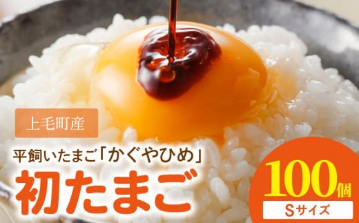 かぐやひめ「初たまご」100個 【福岡上毛町産】　