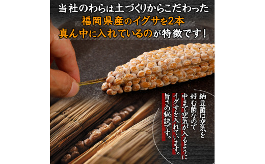 北海道のわら納豆（大粒）80g×12本 たれ付き【くま納豆 北海道産大豆100% 高級 お取り寄せ 藁納豆 ご飯のお供】