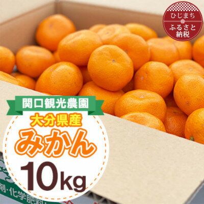 【ふるさと納税】温州みかん約10キロ【1727487】