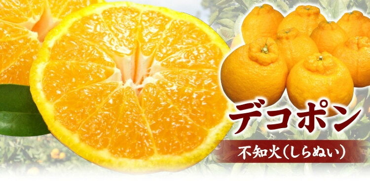 【ふるさと納税】田村産「デコ」不知火 [約2.8kg] 湯浅町田村産 春みかん (果実サイズおまかせ)/紀伊国屋文左衛門本舗　※2027年2月中旬～2027年3月下旬頃に順次発送予定(お届け日指定不可)