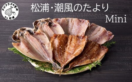 松浦・潮風のたより Ｍｉｎｉ( 松浦市 アジ 干物 アジ開き アジみりん アジ桜干し 詰め合わせ )【A5-016】