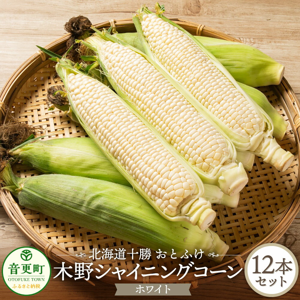 【ふるさと納税】【先行受付】おとふけ木野シャイニングコーンホワイトセット 12本【2025年8月中旬頃より順次発送】 とうもろこし トウモロコシ コーン シャイニングコーンホワイト ホワイトコーン 野菜 やさい 十勝 冷蔵 北海道 音更町 送料無料