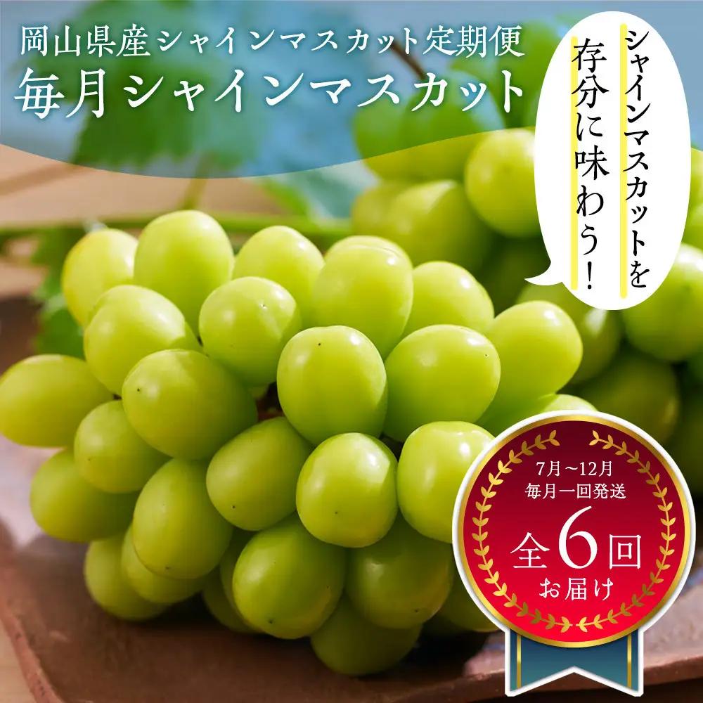 岡山県産 シャインマスカット 【定期便】｜毎月シャインマスカット（全6回お届け）