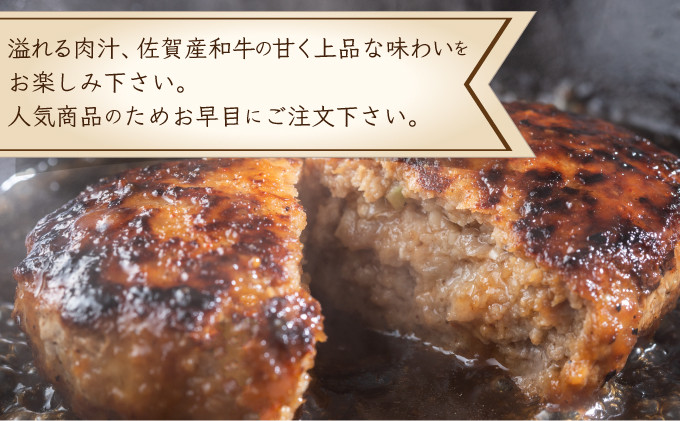 【佐賀産和牛】ハンバーグ 120g×5個 B-976
