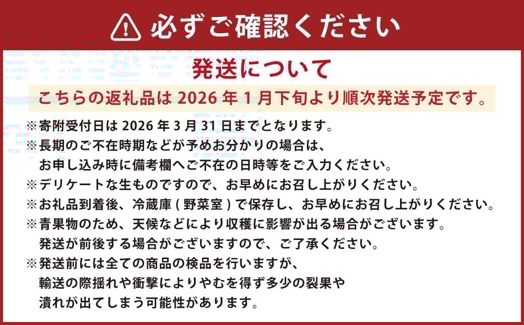 【2024年1月下旬発送開始】にべさんちの苺 熊本県産イチゴ桃薫(とうくん) 約400g