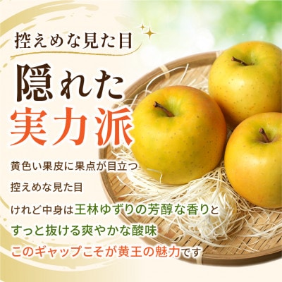 青森りんご 8～9月発送 黄王(きおう) 約5kg 訳あり クール便 平均糖度12度以上!【配送不可地域：離島・沖縄県】