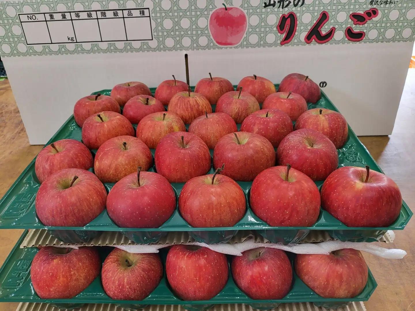 小玉 サンふじ 約 10kg 山形 りんご サンふじ