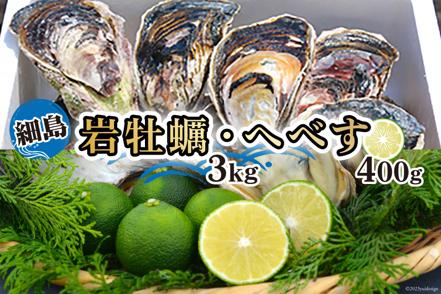 【期間限定発送】岩牡蠣 殻付き 細島 岩ガキ 約3kg 日向特産 へべす 400ｇ セット [道の駅日向 宮崎県 日向市 452061390] いわがき 岩がき 牡蠣 日豊海岸 濃厚 クリーミー