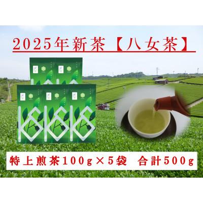 ふるさと納税 八女市 八女茶　新茶特上煎茶　100g×5袋